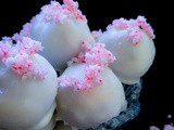 Coconut-Peppermint-Truffles (4 Ingredients – 10 Minutes)