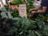 Eveleigh Markets - Farmers Market in Sydney: a Review