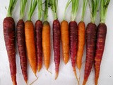 Carrot + Zucchini Oat Bran Muffins