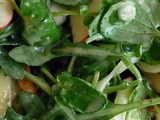Arugula Watercress Fennel Apple Almond Salad & Apple Cider Vinaigrette