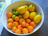Mixed Citrus Marmalade