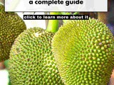 Breadfruit 101: Nutrition, Benefits, How To Use, Buy, Store | Breadfruit: a Complete Guide