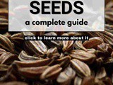 Caraway Seeds 101: Nutrition, Benefits, How To Use, Buy, Store | Caraway Seeds: a Complete Guide