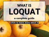 Loquat 101: Nutrition, Benefits, How To Use, Buy, Store | Loquat: a Complete Guide