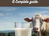 Sheep milk 101: Nutrition, Benefits, How To Use, Buy, Store a Complete Guide