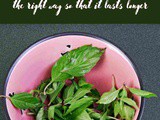 Thai Basil 101: Nutrition, Benefits, How To Use, Buy, Store | Thai Basil : a Complete Guide