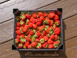 The Best Ways to Store Strawberries: 3 Methods