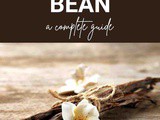 Vanilla Bean 101: Benefits, How To Use, Buy, Store | Vanilla Bean: a Complete Guide