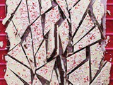 The Best Peppermint Bark