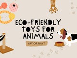 Eco-friendly toys for dogs – Yay or nay