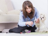 Essential Pet care Tips for rains of 2024