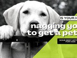 Is your kid nagging you to get a pet