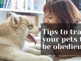 Obedient Pets? Follow these tips for training your pets