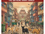 Stray Dogs In India — Month After The Supreme Court Order