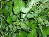 Health Benefits of Commonly Available Type of Keerai or Greens