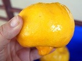 Moroccan preserved lemon, a must-have in the Moroccan kitchen