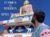 Langza Spiti Travel Guide: Fossils, Buddha Statue & Hidden Gems