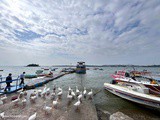 Lower Lake in Bhopal: Where Tranquility Meets Natural Beauty