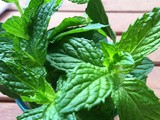 Sticky Skinned Thieves and The Mint Julep