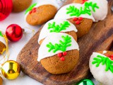 Best White Chocolate Dipped Cookies Recipe