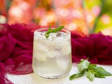 Yuzu Cocktail Recipe