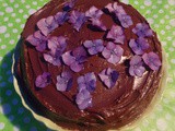New Vlog Post Red Velvet Chocolate Celebration Cake and Stellar Cake Tin Review