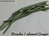 Pirandai Thuvaiyal Recipe / Adamant Creeper Chutney / Healthy Thogaiyal