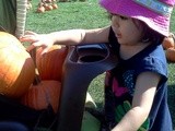 Pumpkin Picking on Long Island & Cute Baby Photos