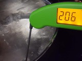 Thermapen Digital Food Thermometer - a Cool Kitchen Tool