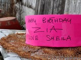 Happy Birthday – Zia