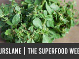 Unlock the secret benefits of purslane: Discover the superfood hiding in your backyard! | Guide