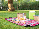What to Pack for a Plant-Based Picnic in the Park + 5 Must-Try Picnic Recipes