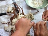 Crab Tamales
