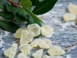 La masticha di Chios: riconosciuta come medicinale naturale