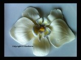 {Edible Sugar Flower} White Orchid