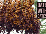 Top 5 Best Quality Dates to Buy