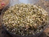 Sprouted Mung Beans and Methi Seeds Curry - Guest post at Daily Swag  Sugandh