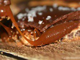 Chocolate Chip Cookie Caramel Tart