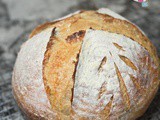 The Unfed Sourdough Loaf