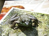 A Contest, a Cookbook and a Frog Named Ambrose