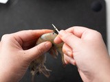 How to Peel & Devein Shrimp (3 Easy Methods)
