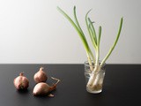 What Are Shallots? (Shallots vs. Onions & Green Onions)