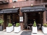 Café Blossom on Carmine, New York, ny