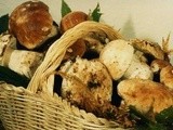 Indice ricette: Funghi e Tartufo