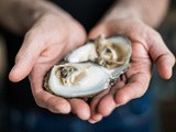 Lough Foyle Irish Flat Oyster to be the star of Northern Ireland's only Slow Food Festival