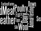 Wordle Wednesday: Products Vegans Avoid