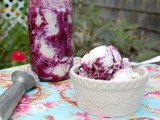 Blueberry Graham Frozen Yogurt