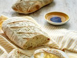 Osnovni recept za hleb sa starterom / Sourdough Bread