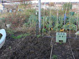 A twist in the (allotment) plot