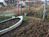 All change at the allotment